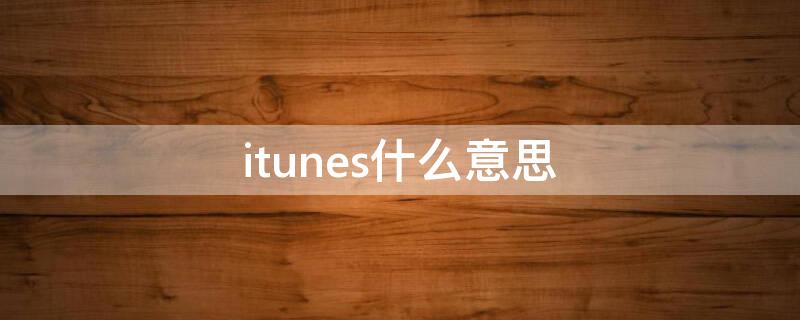 itunes什么意思