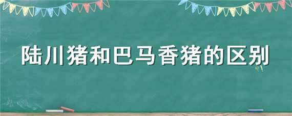 陆川猪和巴马香猪的区别（陆川猪跟巴马香猪的区别）