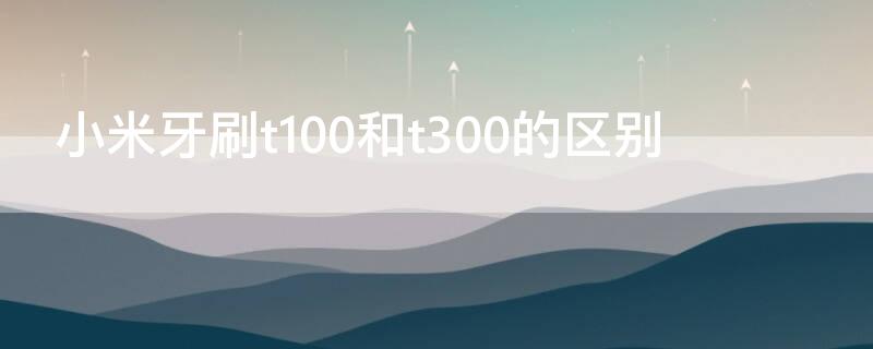 小米牙刷t100和t300的区别