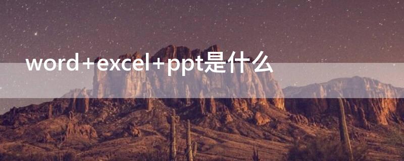 word excel ppt是什么