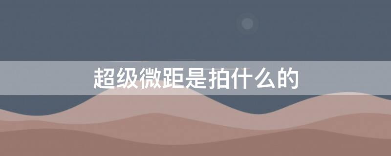 超级微距是拍什么的