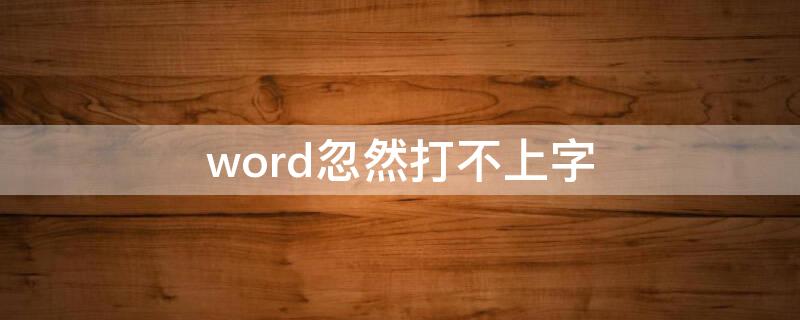 word忽然打不上字