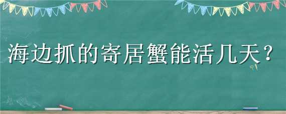 海边抓的寄居蟹能活几天 海边抓的寄居蟹能活几天不死