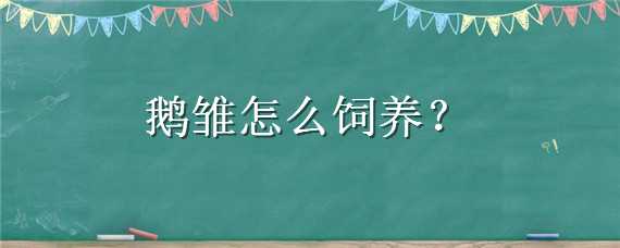 鹅雏怎么饲养 如何养鹅雏