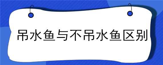 吊水鱼与不吊水鱼区别（什么是吊水鱼）