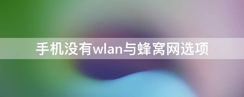 手机没有wlan与蜂窝网选项