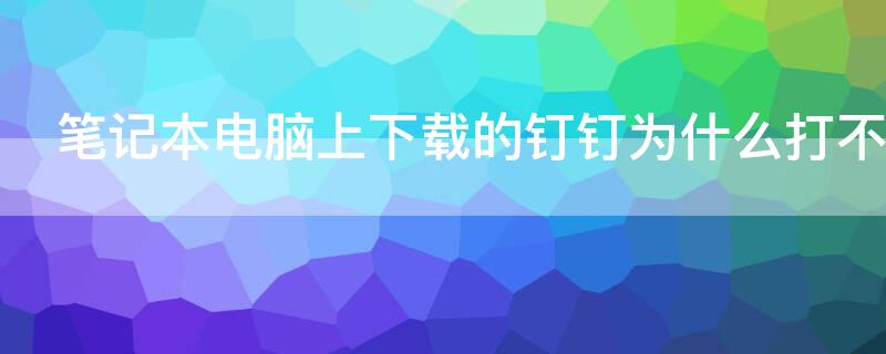 笔记本电脑上下载的钉钉为什么打不开