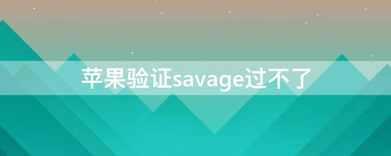 iPhone验证savage过不了