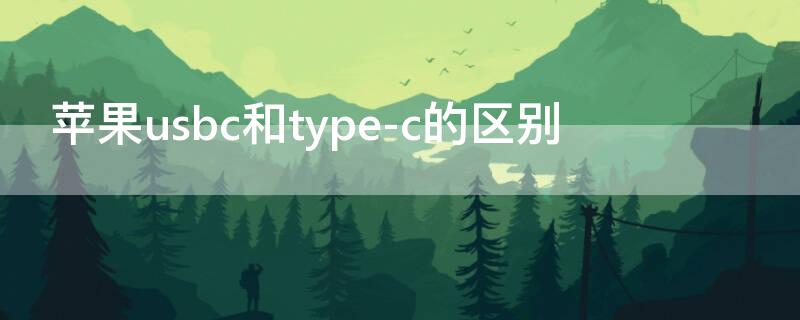 iPhoneusbc和type-c的区别 苹果usbc和typec一样吗