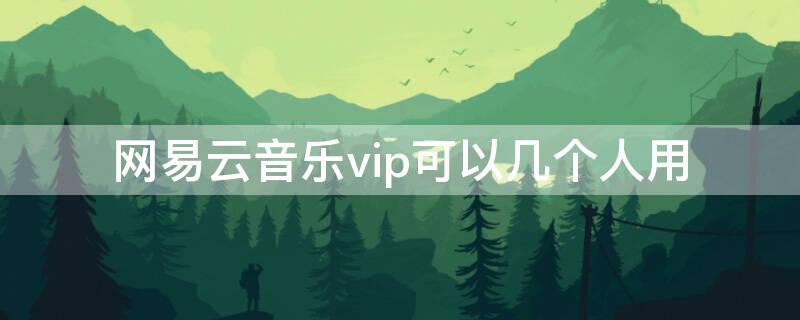 网易云音乐vip可以几个人用 网易音乐会员可以同时几个人用