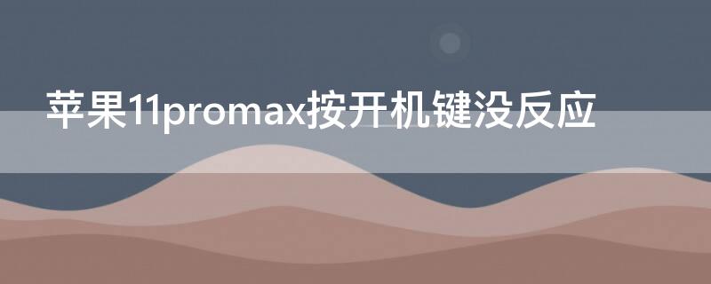 iPhone11promax按开机键没反应 iphone11promax关机键没反应