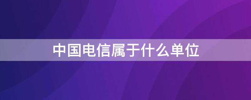 中国电信属于什么单位