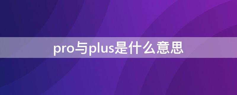 pro与plus是什么意思（pro与plus是什么意思啊）