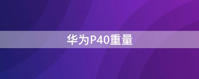 华为 P40 Pro重量