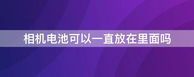 相机电池可以一直放在里面吗 相机电池没电了能放在相机里吗