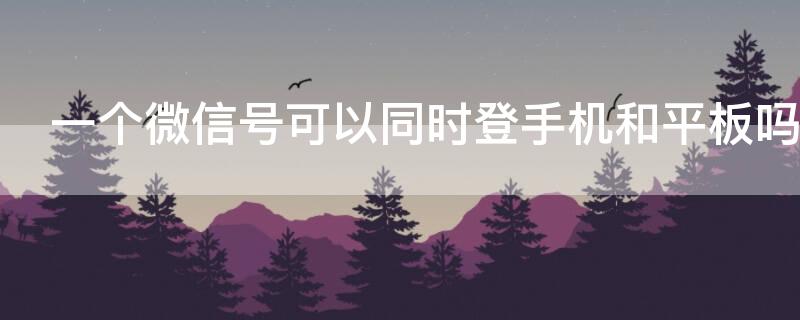 一个微信号可以同时登手机和平板吗（一个微信号能同时在手机和平板上登录吗）