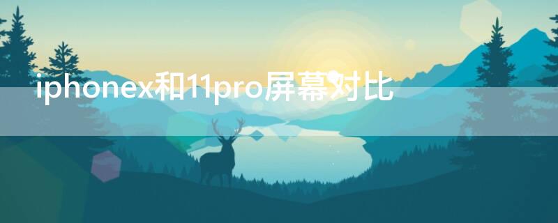 iPhonex和11pro屏幕对比