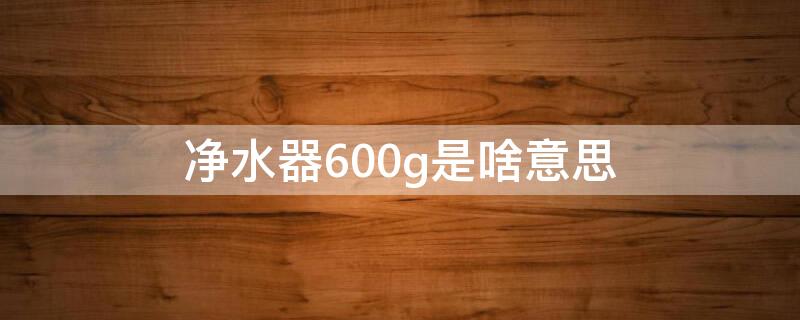 净水器600g是啥意思（净水机的600g是指）