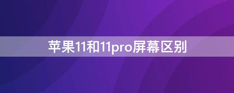 iPhone11和11pro屏幕区别 iphone11和11pro屏幕有什么区别