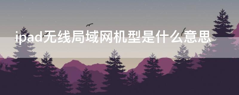 ipad无线局域网机型是什么意思 iPad无线局域网机型