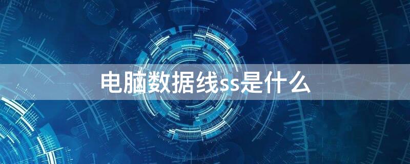 电脑数据线ss是什么（电脑上的ss是什么接口）