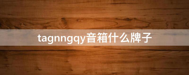 tagnngqy音箱什么牌子 tagnngqy音箱