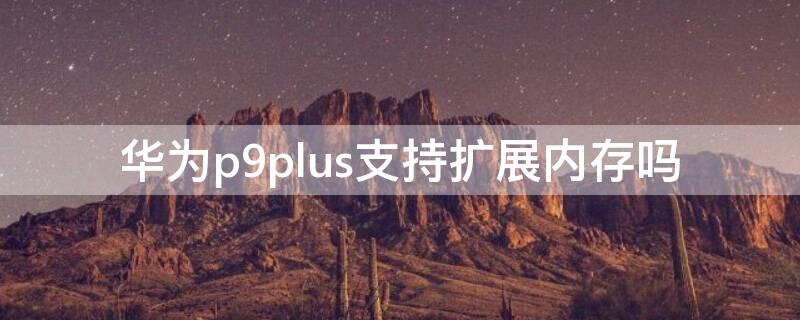 华为p9plus支持扩展内存吗（华为p9plus能扩展内存吗）