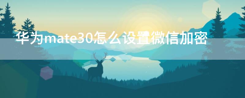 华为mate30怎么设置微信加密 华为mate30pro手机怎么设置微信加密