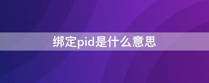 绑定pid是什么意思（怎么绑定pid是什么意思）