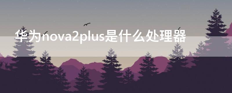 华为nova2plus是什么处理器（nova2plus是什么型号）