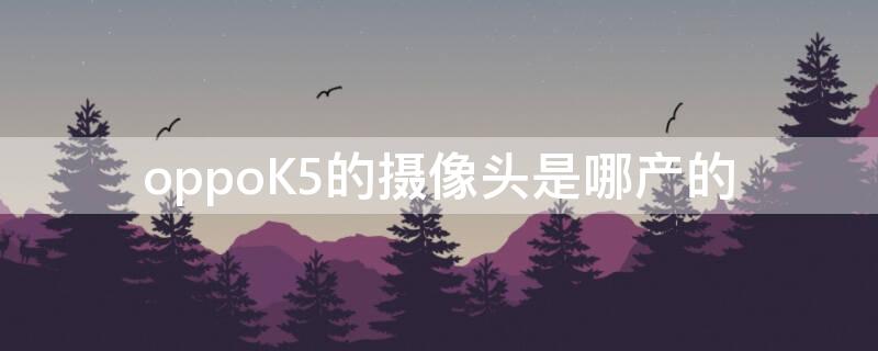 oppoK5的摄像头是哪产的 oppok5前置摄像头怎么样