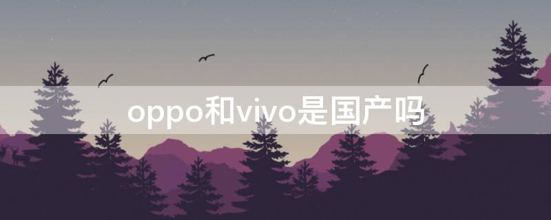 oppo和vivo是国产吗 oppo和vivo是国产吗?