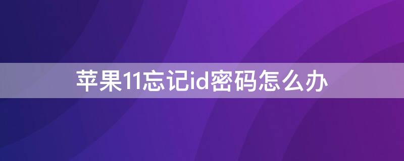 iPhone11忘记id密码怎么办（iphone12忘记id密码怎么办）