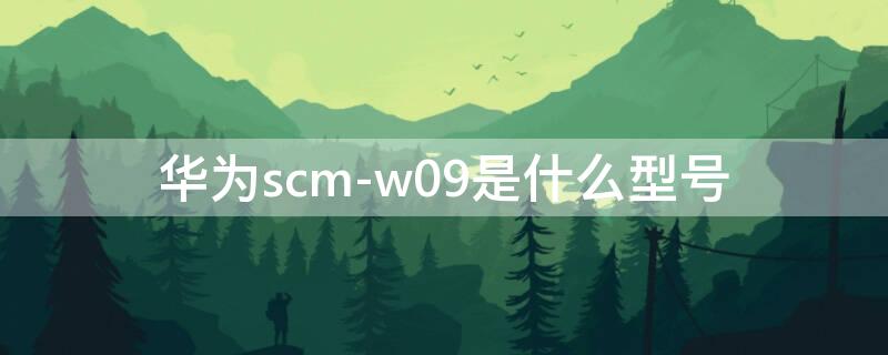 华为scm-w09是什么型号（华为平板scm-w09是什么型号）