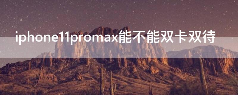 iPhone11promax能不能双卡双待 iphone11promax可以双卡双待吗