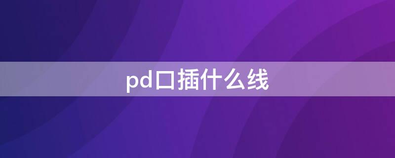 pd口插什么线 dp线为什么不是usb口