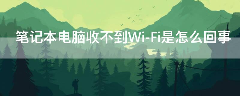 笔记本电脑收不到Wi-Fi是怎么回事 笔记本电脑为什么收不到Wi-Fi