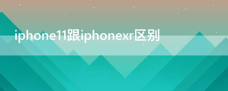 iPhone11跟iPhonexr区别（iphone11和iphonexr区别）