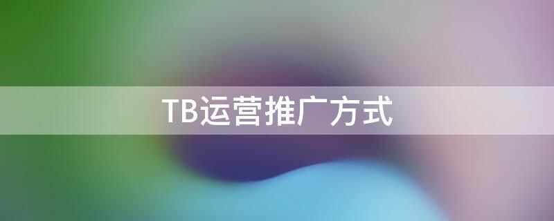 TB运营推广方式（tb公司代运营）