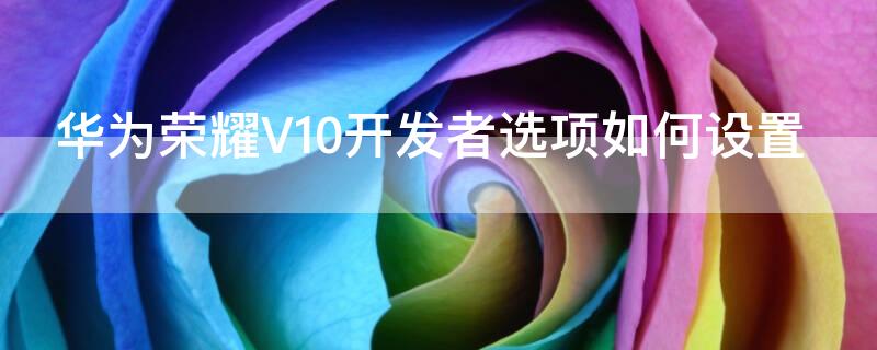 华为荣耀V10开发者选项如何设置（华为v10开发者选项在哪）