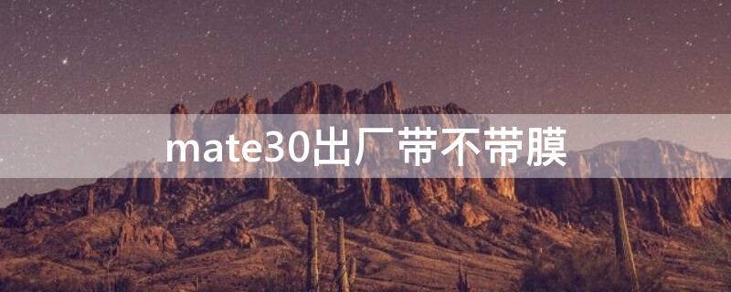 mate30出厂带不带膜 mate30epro出厂带膜吗