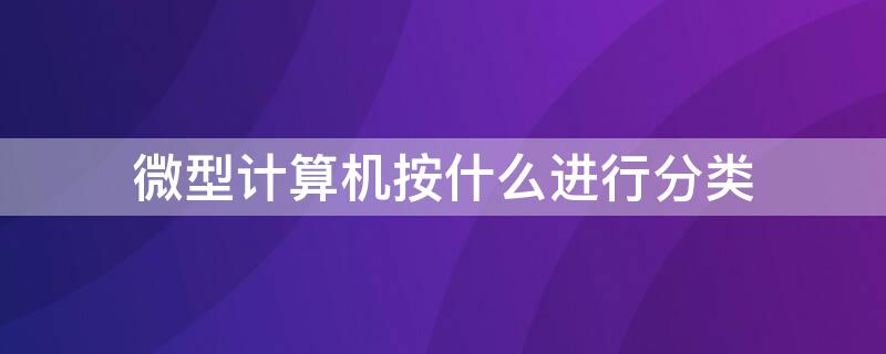 微型计算机按什么进行分类（微型计算机可以分为）