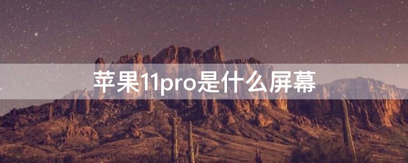 iPhone11pro是什么屏幕（iphone11pro是什么屏幕oled）