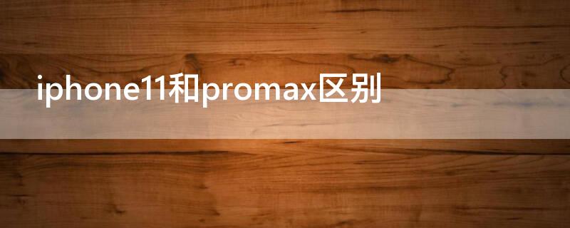 iPhone11和promax区别（iphone11pro和promax的区别）