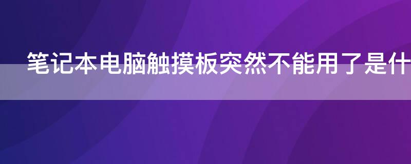 笔记本电脑触摸板突然不能用了是什么原因