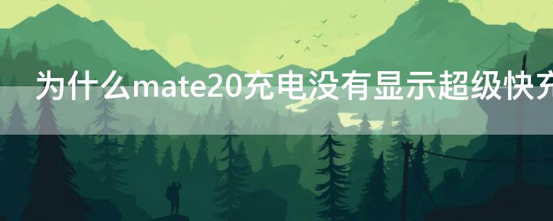 为什么mate20充电没有显示超级快充（mate20pro充电不显示超级快充）