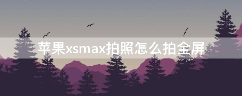 iPhonexsmax拍照怎么拍全屏（iphonexsmax怎么拍全屏照片）