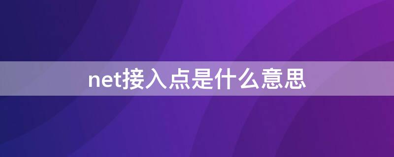 net接入点是什么意思 接入点设置为net方式