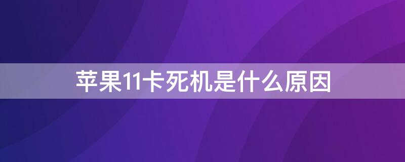 iPhone11卡死机是什么原因 苹果11卡死机是什么原因