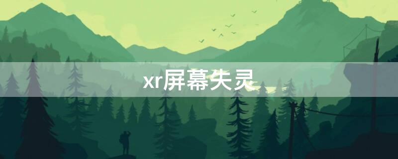 xr屏幕失灵（xr屏幕失灵如何强制关机）